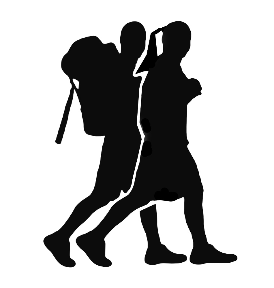 Wandelsportvereniging  's-Hertogenbossche Vierdaagse                                             